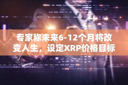 专家称未来6-12个月将改变人生,设定XRP价格目标