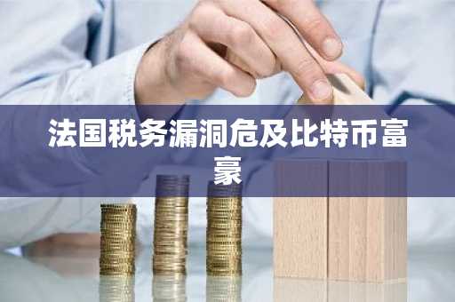 法国税务漏洞危及比特币富豪