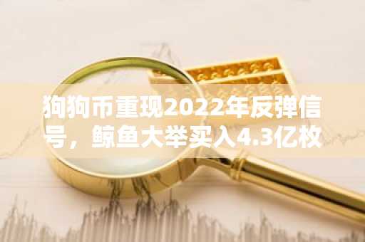 狗狗币重现2022年反弹信号,鲸鱼大举买入4.3亿枚DOGE