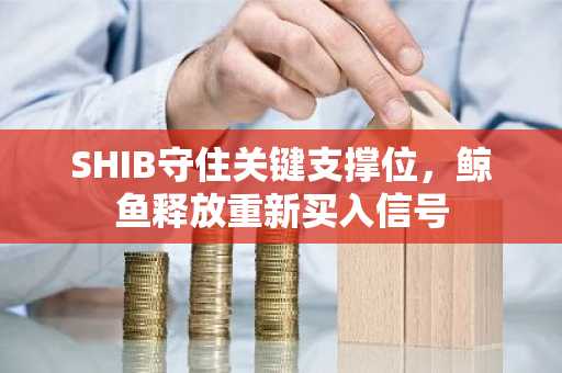 SHIB守住关键支撑位,鲸鱼释放重新买入信号