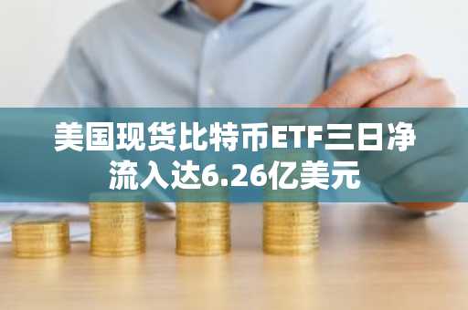 美国现货比特币ETF三日净流入达6.26亿美元