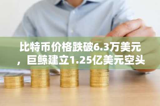 比特币价格跌破6.3万美元,巨鲸建立1.25亿美元空头头寸