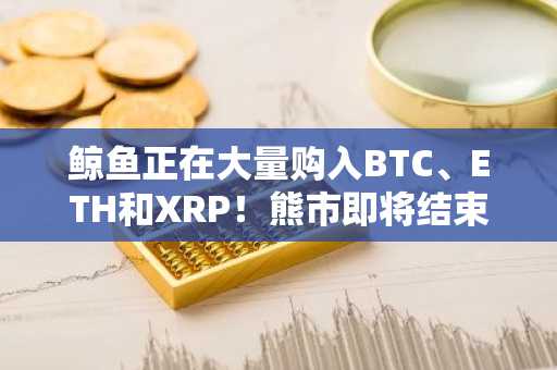 鲸鱼正在大量购入BTC、ETH和XRP!熊市即将结束?