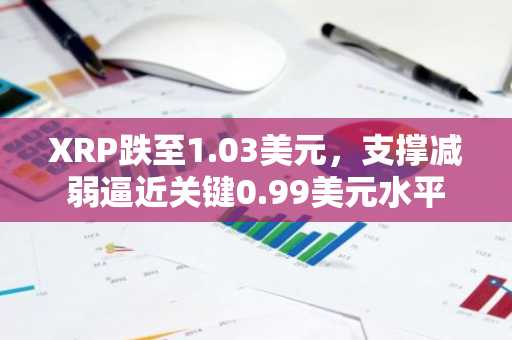 XRP跌至1.03美元,支撑减弱逼近关键0.99美元水平