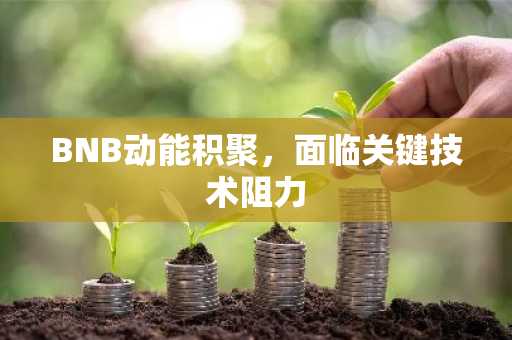 BNB动能积聚，面临关键技术阻力
