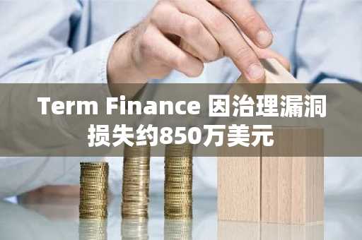 Term Finance 因治理漏洞损失约850万美元