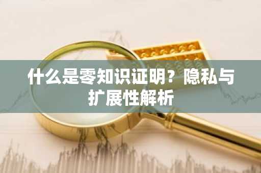 什么是零知识证明？隐私与扩展性解析