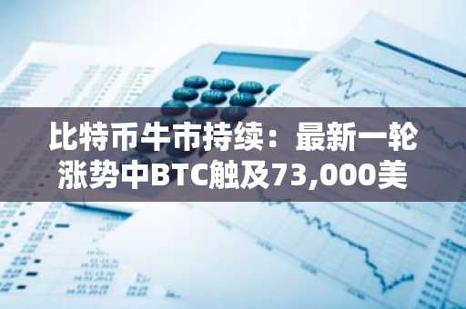 比特币牛市持续：最新一轮涨势中BTC触及73,000美元大关——上涨原因及最新数据解析