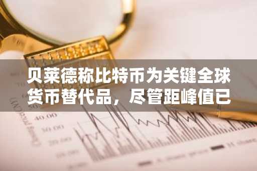 贝莱德称比特币为关键全球货币替代品，尽管距峰值已跌50%