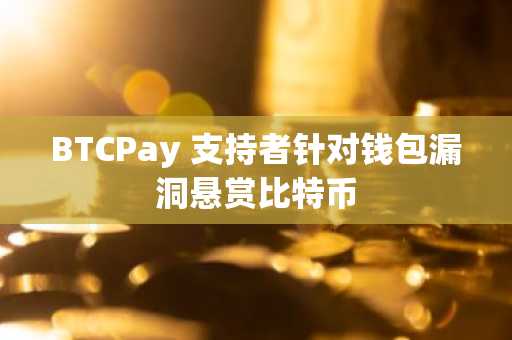 BTCPay 支持者针对钱包漏洞悬赏比特币