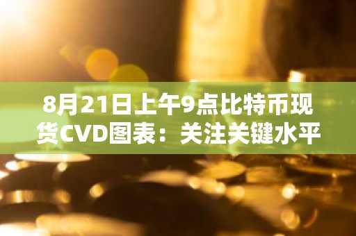 8月21日上午9点比特币现货CVD图表：关注关键水平