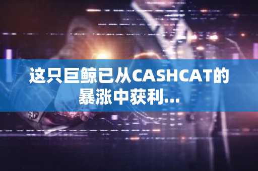 这只巨鲸已从CASHCAT的暴涨中获利...
