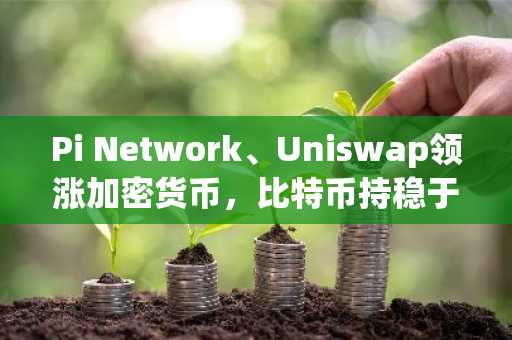 Pi Network、Uniswap领涨加密货币,比特币持稳于6.4万美元附近
