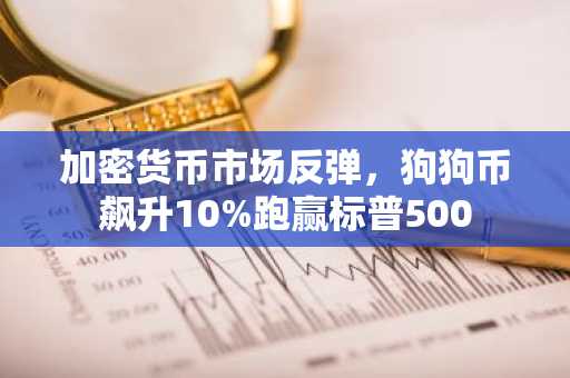 加密货币市场反弹，狗狗币飙升10%跑赢标普500
