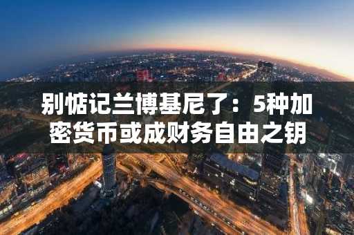 别惦记兰博基尼了:5种加密货币或成财务自由之钥
