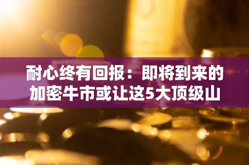 耐心终有回报:即将到来的加密牛市或让这5大顶级山寨币暴涨20倍