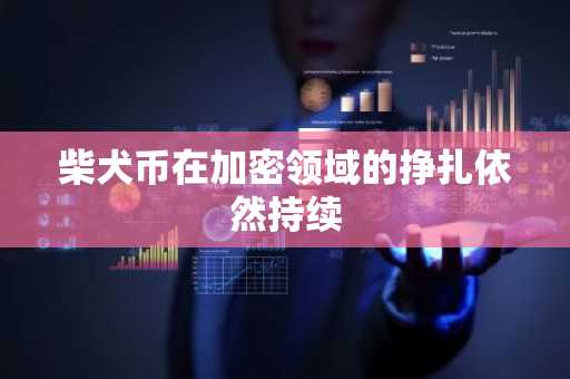柴犬币在加密领域的挣扎依然持续