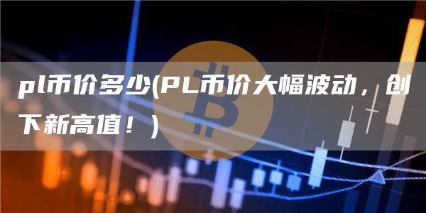 pl币价多少 - PL币价大幅波动,创下新高值!