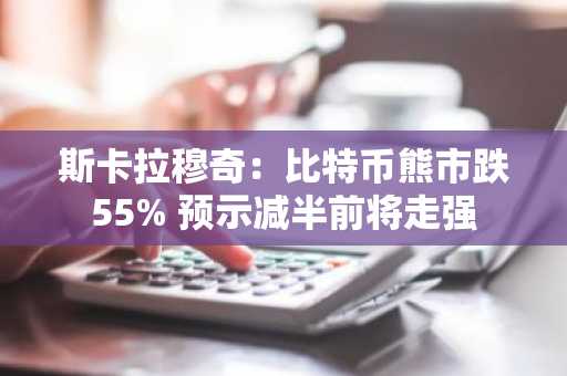 斯卡拉穆奇：比特币熊市跌55% 预示减半前将走强