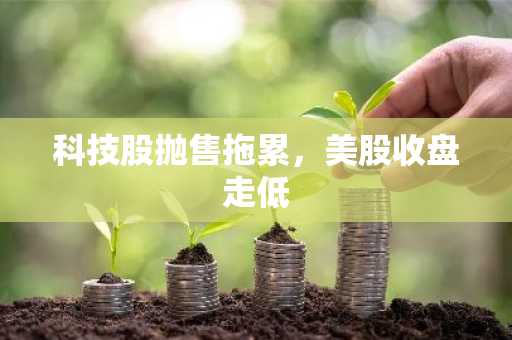 科技股抛售拖累，美股收盘走低