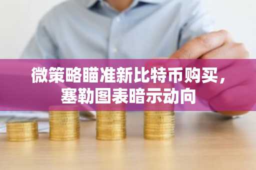 微策略瞄准新比特币购买，塞勒图表暗示动向