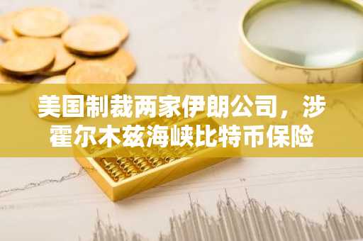 美国制裁两家伊朗公司，涉霍尔木兹海峡比特币保险