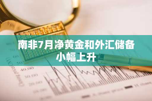 南非7月净黄金和外汇储备小幅上升