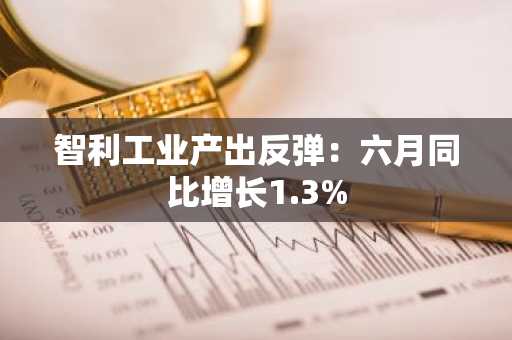 智利工业产出反弹：六月同比增长1.3%