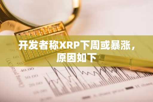 开发者称XRP下周或暴涨，原因如下