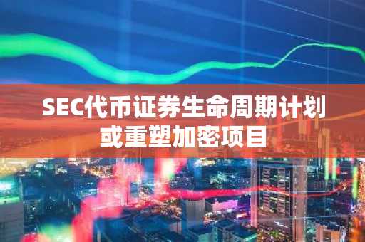 SEC代币证券生命周期计划或重塑加密项目