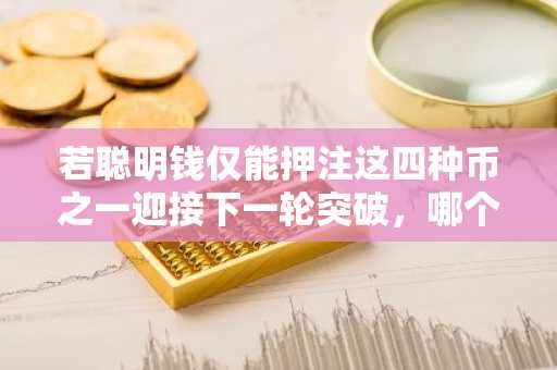 若聪明钱仅能押注这四种币之一迎接下一轮突破,哪个项目能赢得你的坚定信念——为什么?