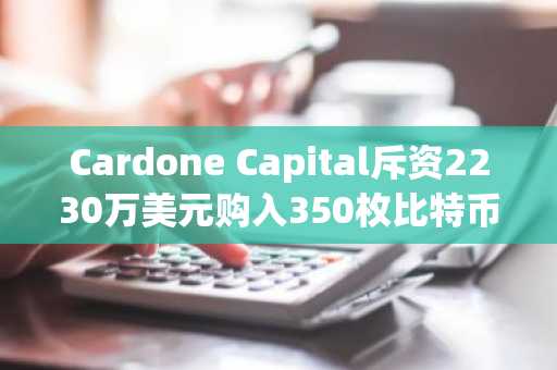 Cardone Capital斥资2230万美元购入350枚比特币作为国库投资