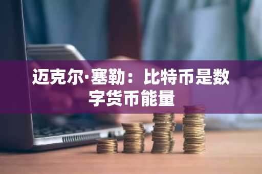 迈克尔·塞勒:比特币是数字货币能量