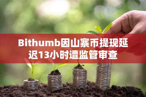 Bithumb因山寨币提现延迟13小时遭监管审查