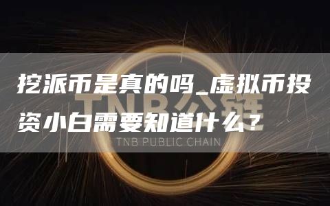 挖派币是真的吗_虚拟币投资小白需要知道什么?