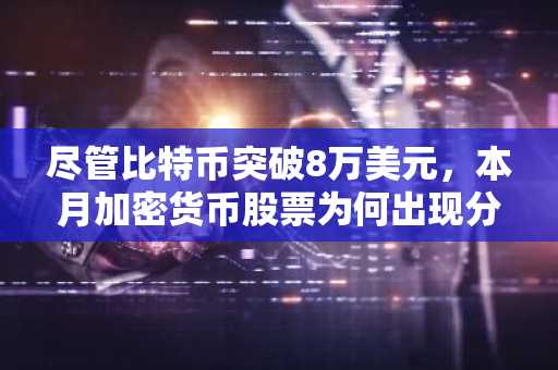 尽管比特币突破8万美元，本月加密货币股票为何出现分化？