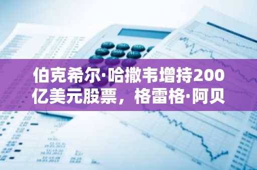 伯克希尔·哈撒韦增持200亿美元股票，格雷格·阿贝尔拒绝涉足加密货币