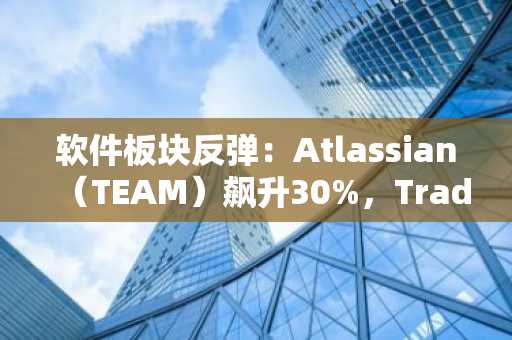 软件板块反弹:Atlassian(TEAM)飙升30%,Trade Desk(TTD)暴跌27%