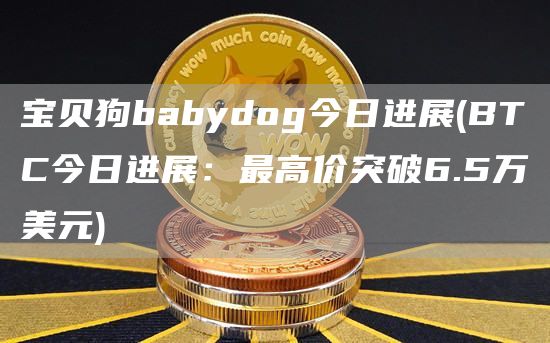 宝贝狗babydog今日进展 - BTC今日进展:最高价突破6.5万美元
