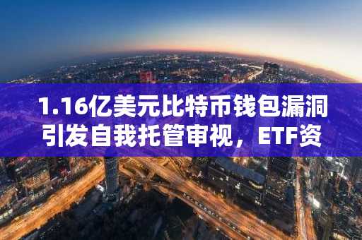 1.16亿美元比特币钱包漏洞引发自我托管审视，ETF资金流入持续攀升