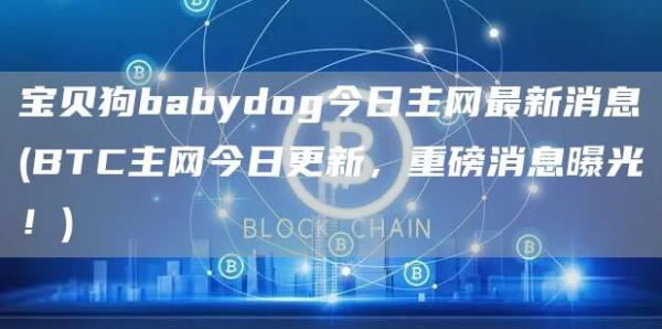 宝贝狗babydog今日主网最新消息 - BTC主网今日更新,重磅消息曝光!