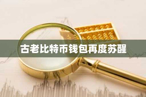 古老比特币钱包再度苏醒