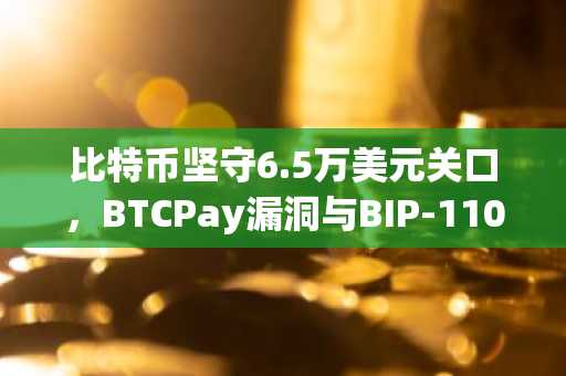 比特币坚守6.5万美元关口，BTCPay漏洞与BIP-110分叉风险引发市场恐慌