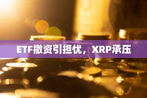 ETF撤资引担忧，XRP承压