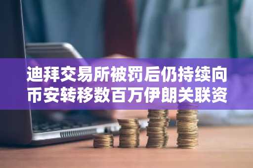 迪拜交易所被罚后仍持续向币安转移数百万伊朗关联资金