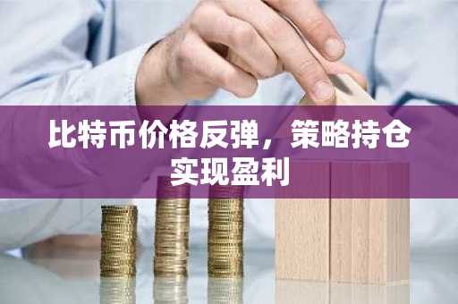 比特币价格反弹，策略持仓实现盈利