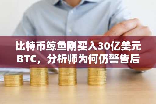比特币鲸鱼刚买入30亿美元BTC，分析师为何仍警告后市更惨？