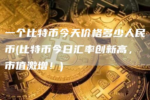 一个比特币今天价格多少人民币 - 比特币今日汇率创新高,市值激增!