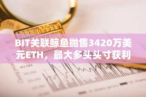 BIT关联鲸鱼抛售3420万美元ETH,最大多头头寸获利了结