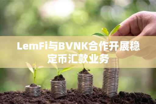 LemFi与BVNK合作开展稳定币汇款业务